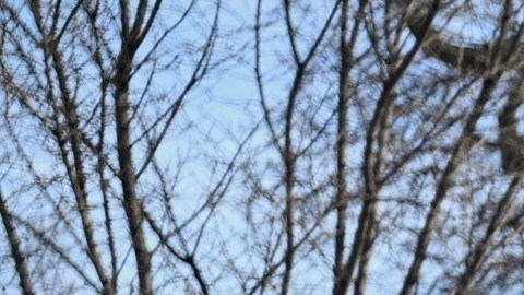 La gente protesta mientras agentes del orden acuden al lugar del tiroteo en el que participaron agentes federales, el miércoles 7 de enero de 2026, en Minneapolis.