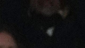 Fulham's Harry Wilson, centre, celebrates with teammates after scoring his side's second goal during the English Premier League soccer match between Fulham and Chelsea in London, Wednesday, Jan. 7, 2026. (AP Photo/Dave Shopland)