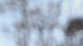 Muerte a tiros de mujer por agentes de ICE en Minneapolis