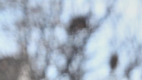 Muerte a tiros de mujer por agentes de ICE en Minneapolis