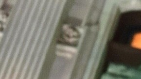 Un agente de ICE mató a Renee Nicole Good en Minnesota.