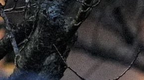 Agentes del orden trabajan en el lugar tras informes de que agentes federales de inmigración dispararon e hirieron a personas en Portland, Oregón, el jueves 8 de enero de 2026.