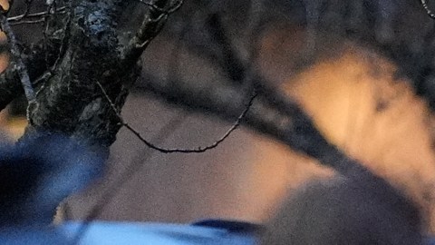 Agentes del orden trabajan en el lugar tras informes de que agentes federales de inmigración dispararon e hirieron a personas en Portland, Oregón, el jueves 8 de enero de 2026.