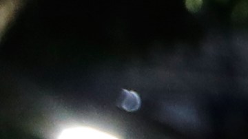 Venezolanos esperan por el bus