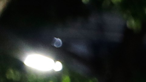 Venezolanos esperan por el bus