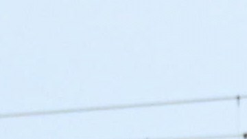 La fiscalía del condado ha abierto un canal para recibir los vídeos de los disparos, así como otras pruebas por parte de los vecinos.