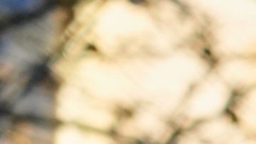 La República Islámica enfrenta una oleada de protestas originada en la crisis económica por la caída de precio de la moneda y la elevada inflación.