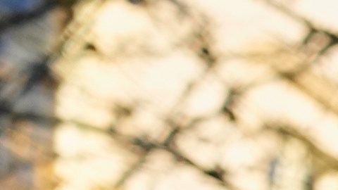 La República Islámica enfrenta una oleada de protestas originada en la crisis económica por la caída de precio de la moneda y la elevada inflación.