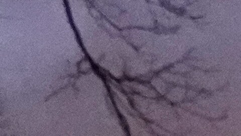 Manifestantes asisten a una manifestación en apoyo a Renee Good, quien fue asesinada a tiros por un agente de ICE a principios de semana, el sábado 10 de enero de 2026, en Kansas City, Missouri.