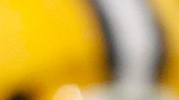 Green Bay Packers coach Jeff Hafley before an NFL wild-card football game against the Chicago Bears Saturday, Jan.10, 2026, in Chicago.(AP Photo/Jeffrey Phelps)