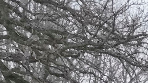 El comandante de la Patrulla Fronteriza de EE. UU., Gregory Bovino, advierte a los periodistas que se mantengan alejados, el domingo 11 de enero de 2026, en St. Paul, Minnesota.