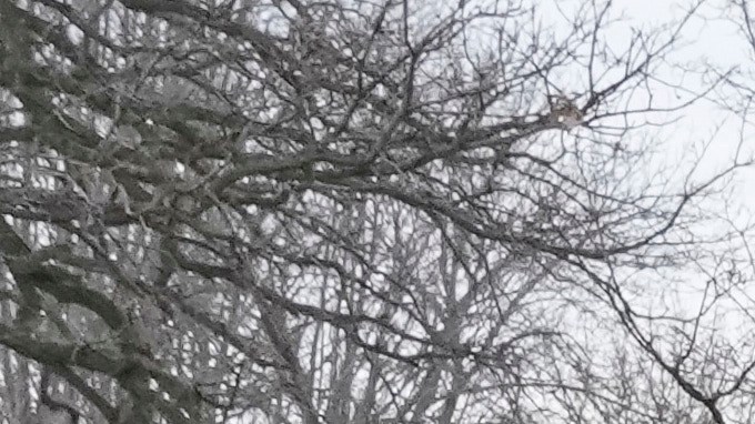 El comandante de la Patrulla Fronteriza de EE. UU., Gregory Bovino, advierte a los periodistas que se mantengan alejados, el domingo 11 de enero de 2026, en St. Paul, Minnesota.