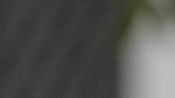 Machado se encuentra fuera de Venezuela tras lograr escapar del acecho del chavismo.