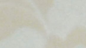 Machado y León XIV se reunieron en la biblioteca privada del Vaticano.