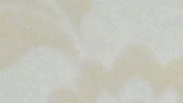 Machado y León XIV se reunieron en la biblioteca privada del Vaticano.