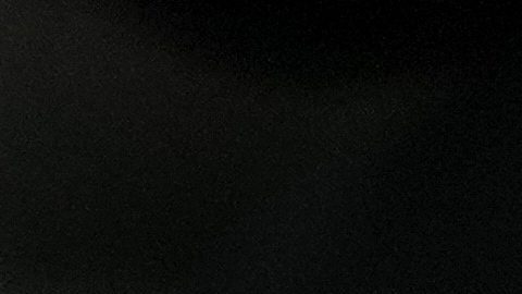 DHS dijo que Good, una poeta galardonada, usó su vehículo como arma contra el agente de ICE que le disparó fatalmente en "defensa propia".