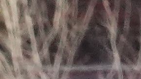 Se lanzan gases lacrimógenos contra los manifestantes cerca del lugar donde Renee Good fue asesinada a tiros por un agente de ICE.