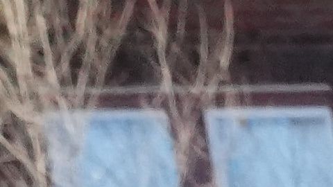 Se lanzan gases lacrimógenos contra los manifestantes cerca del lugar donde Renee Good fue asesinada a tiros por un agente de ICE.