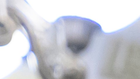 Senador Chuck Schumer, demócrata de Nueva York.