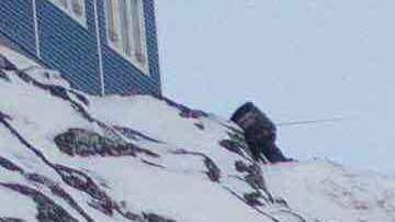 Pescadores en Nuuk, Groenlandia