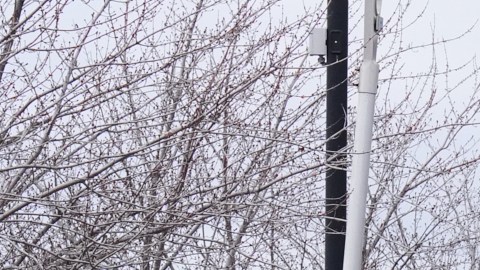 Minneapolis se ha convertido en el epicentro de las manifestaciones.