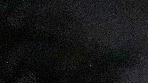 La orden preliminar fue pedida por activistas que presentaron una demanda el mes pasado argumentando que el gobierno federal violaba sus derechos constitucionales.