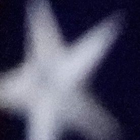 Las tensiones geopolíticas siguen en aumento.