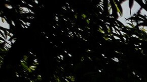 Parque Central, ubicado en el centro de Caracas, Venezuela.