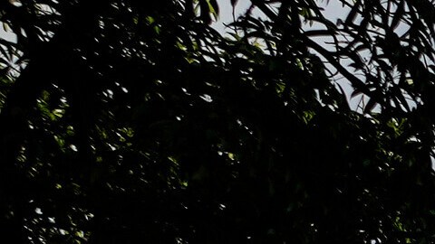 Parque Central, ubicado en el centro de Caracas, Venezuela.