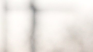 Tricia McLauglin catalogó a los detenidos como "alborotadores y terroristas.