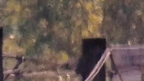 Un total de 317 pasajeros estaban en los vagones.