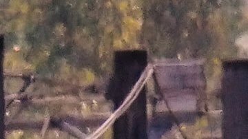 Un total de 317 pasajeros estaban en los vagones.