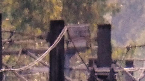 Un total de 317 pasajeros estaban en los vagones.