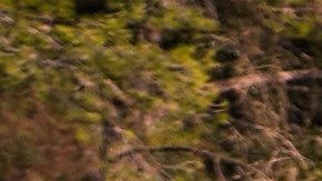 Padre de jugador del Getafe se encuentra entre los desaparecidos del accidente en Adamuz, España