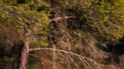 Padre de jugador del Getafe se encuentra entre los desaparecidos del accidente en Adamuz, España