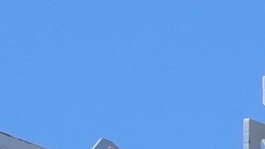 En total, 219 son hombres y 16 mujeres retornaron al país sudamericano.