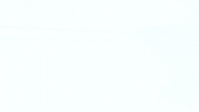 Los agentes migratorios son señalados de acosar incluso a estadounidenses.