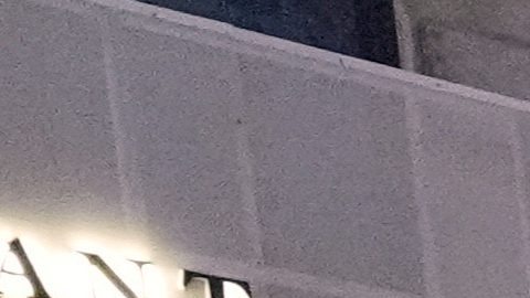 La protesta fue organizada por el Foro del Pueblo.