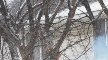 Defensores de derechos humanos critican al Congreso por aprobar fondos migratorios sin condiciones, a pesar de abusos.