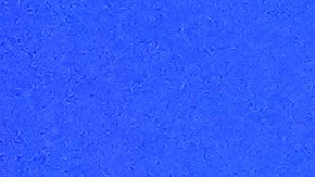 EE.UU. asegura que el diálogo en busca de un acuerdo está "prácticamente cerrado".