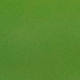 Muere futbolista de 27 años tras sufrir un paro cardiaco en pleno partido en Portugal