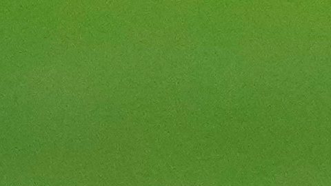 Muere futbolista de 27 años tras sufrir un paro cardiaco en pleno partido en Portugal