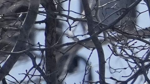 NYC ha abierto más de una docena de centros de acogida, abiertos a cualquier persona que lo requiera en medio de las heladas.