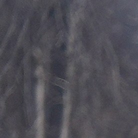 Protestas en Minneapolis contra operativos migratorios