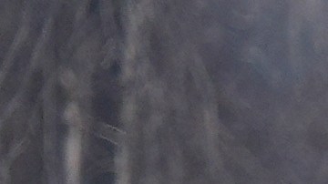 Protestas en Minneapolis contra operativos migratorios