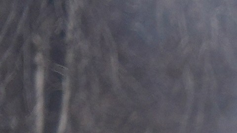 Protestas en Minneapolis contra operativos migratorios