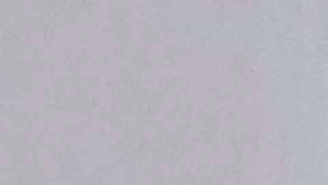 En Nueva York, se ha reportado la muerte de cinco personas.