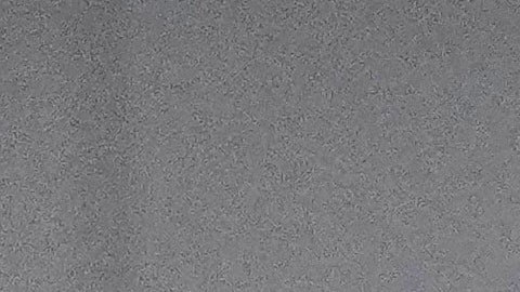 Califican la gestión de Noem en seguridad migratoria como un "fracaso".