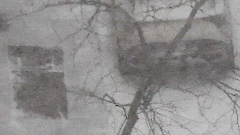 Peatones caminan y andan en bicicleta mientras cae una fuerte nevada, el domingo 25 de enero de 2026.