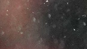 El pateador de los New England Patriots, Andy Borregales, anota un gol de campo durante la segunda mitad del partido del Campeonato de la AFC de la NFL, el domingo 25 de enero de 2026, en Denver.